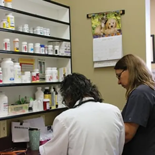 Dr. Barbara Lee and staff in front of Evergreen Vet Clinic pharmacy and cabinet of medications